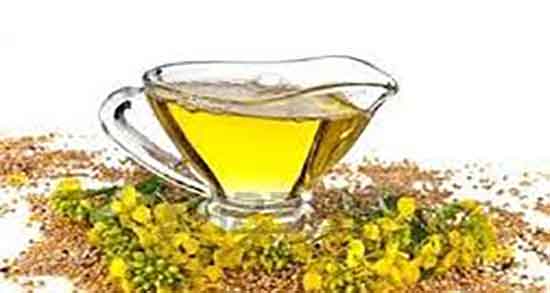 روغن خردل در طب اسلامی ؛ فواید مصرف روغن خردل از نظر طب سنتی