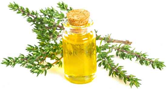روغن خردل و مو ؛ ایا روغن خردل برای تقویت موی سر مفید است