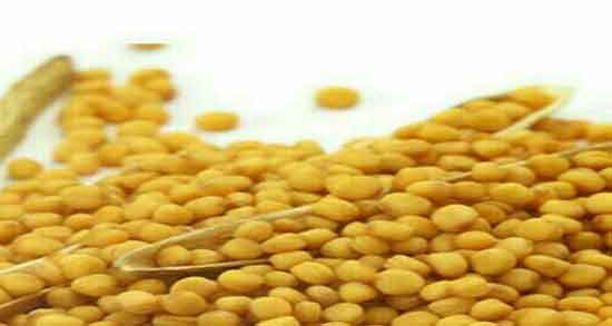 روغن خردل و پوست ؛ خاصیت روغن خردل برای زیبایی پوست صورت
