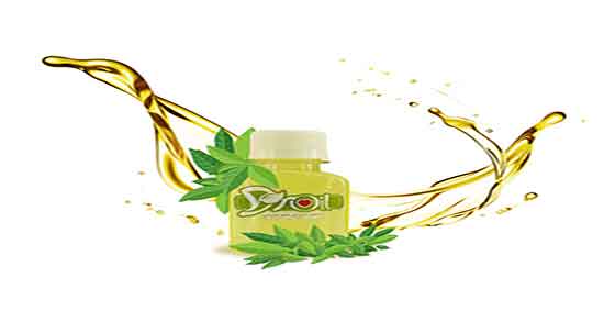 روغن درخت چای و جوجوبا و شامپو روغن جوجوبا و درخت چای گلان روغن درخت چای و جوجوبا ؛ شامپو روغن جوجوبا و درخت چای گلان