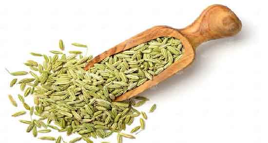 روغن رازیانه برای رفع موهای زائد ؛ روش استفاده از روغن رازیانه برای از بین بردن موهای زائد روغن رازیانه برای رفع موهای زائد ؛ روش استفاده از روغن رازیانه برای از بین بردن موهای زائد