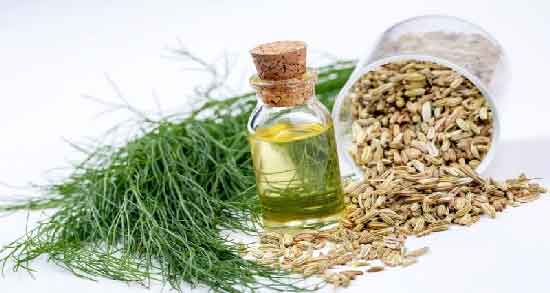 روغن رازیانه در خانه ؛ روش درست کردن روغن رازیانه در خانه