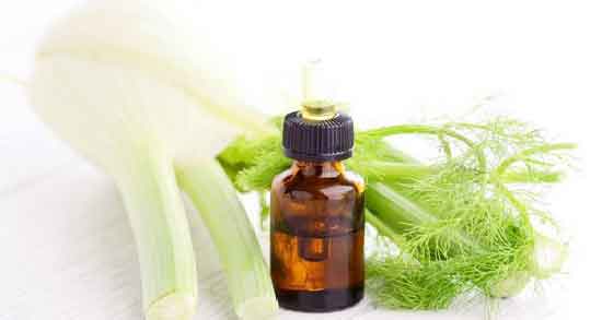 روغن رازیانه در شیردهی و افزایش شیر مادر در زنان شیرده با مصرف روغن رازیانه روغن رازیانه در شیردهی ؛ افزایش شیر مادر در زنان شیرده با مصرف روغن رازیانه