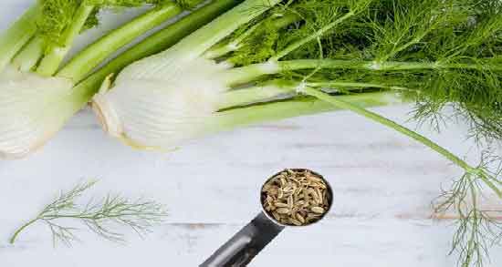 روغن رازیانه در طب اسلامی ؛ خواص و مضرات روغن رازیانه از دیدگاه طب اسلامی روغن رازیانه در طب اسلامی ؛ خواص و مضرات روغن رازیانه از دیدگاه طب اسلامی