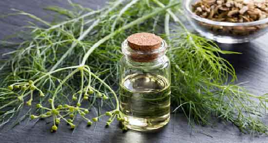 روغن رازیانه و پوست صورت ؛ داشتن پوستی سالم با استفاده از روغن رازیانه