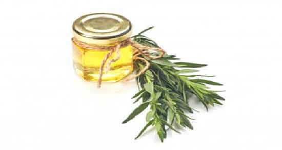 روغن رزماری برای مو ؛ جلوگیری و درمان سفیدی مو با روغن رزماری