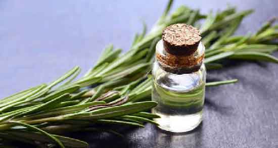 روغن رزماری برای چی خوبه و در چه مواردی استفاده از روغن رزماری مفید است؟ روغن رزماری برای چی خوبه ؛ در چه مواردی استفاده از روغن رزماری مفید است؟