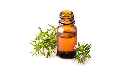 روغن رزماری در شامپو و فواید ریختن روغن رزماری در شامپو برای تقویت مو روغن رزماری در شامپو ؛ فواید ریختن روغن رزماری در شامپو برای تقویت مو