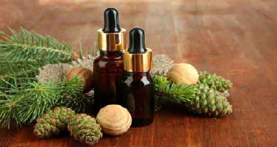 روغن رزماری و مو و روغن رزماری از بهترین روغن های طبیعی برای تقویت و افزایش رشد مو روغن رزماری و مو ؛ روغن رزماری از بهترین روغن های طبیعی برای تقویت و افزایش رشد مو