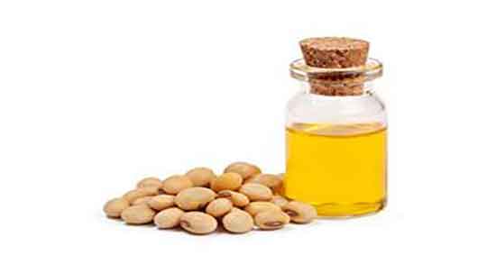 روغن سویا برای اسب ؛ خواص دانه روغن سویا برای غذای اسب