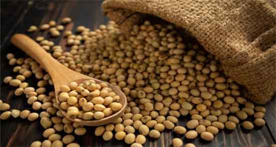 روغن سویا برای مرغداری ؛ ایا روغن سویا برای مرغداری ها مناسب است