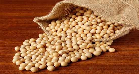 روغن سویا دامی ؛ خاصیت مصرف روغن سویا برای دام و طیور