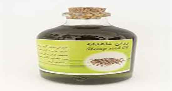 روغن شاهدانه برای ماهیگیری ؛ خواص مصرف روغن شاهدانه برای ماهیگیری