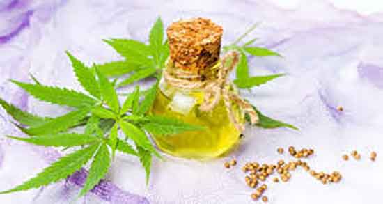 روغن شاهدانه برای پوست صورت ؛ ایا روغن شاهدانه برای پوست مفیده