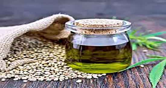 روغن شاهدانه و صرع ؛ درمان بیماری صرع با مصرف روغن شاهدانه