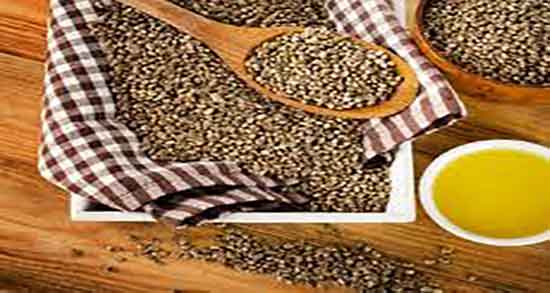 روغن شاهدانه و مو ؛ ایا روغن شاهدانه برای موی سر مفید است