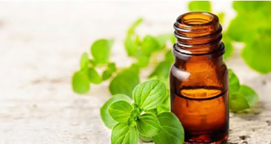 روغن مرزنجوش در بینی ؛ چکاندن روغن مرزنجوش برای درمان گرفتگی