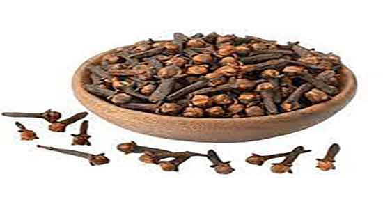 روغن میخک برای درد مفاصل ؛ فواید مصرف روغن میخک برای درد پا