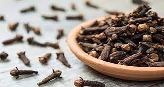 روغن میخک برای لب ؛ ایا روغن میخک برای حجم دهنده لب مفید است
