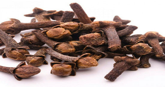 روغن میخک در بارداری ؛ فواید مصرف روغن میخک برای زنان باردار