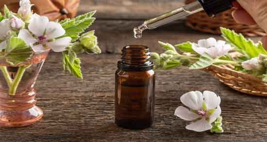 روغن گل ختمی برای اگزما و خاصیت استفاده از روغن گل ختمی برای درمان اگزما روغن گل ختمی برای اگزما ؛ خاصیت استفاده از روغن گل ختمی برای درمان اگزما