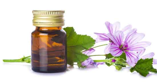 روغن گل ختمی برای مو ؛ افزایش رشد مو با مصرف روغن گل ختمی