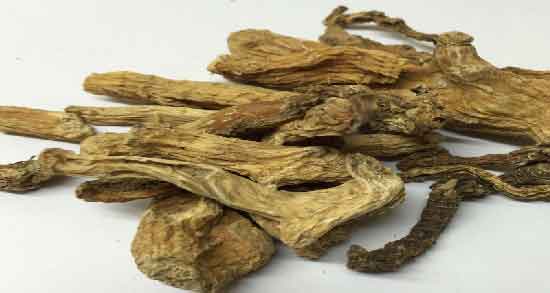 ریشه زرشک چه خاصیتی دارد و آشنایی با خاصیت و کاربردهای ریشه زرشک ریشه زرشک چه خاصیتی دارد ؛ آشنایی با خاصیت و کاربردهای ریشه زرشک