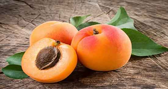 زردآلو با ماست ؛ ترکیب زردالو با ماست برای تقویت پوست صورت