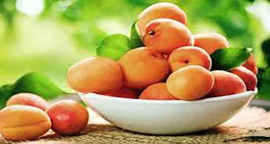 زردآلو در شیردهی و ایا خوردن زردالو باعث افزایش شیر مادران میشود زردآلو در شیردهی ؛ ایا خوردن زردالو باعث افزایش شیر مادران میشود