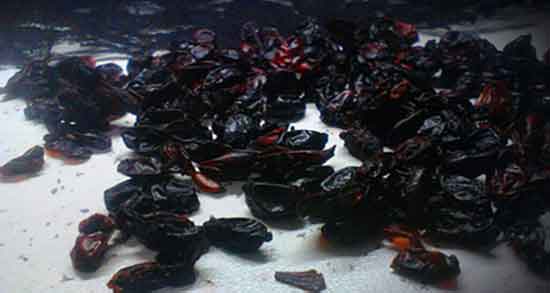 زرشک سیاه برای کبد و آیا زرشک سیاه برای کبد چرب مفید است یا نه زرشک سیاه برای کبد ؛ آیا زرشک سیاه برای کبد چرب مفید است یا نه