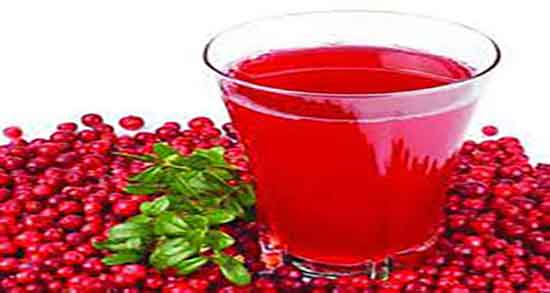 زرشک کوهی برای چربی خون ؛ خواص مصرف زرشک کوهی برای چربی خون