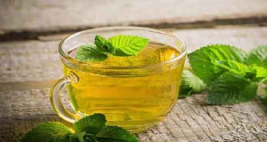 زمان مصرف دمنوش گزنه برای لاغری و طریقه مصرف دمنوش گزنه برای کاهش وزن زمان مصرف دمنوش گزنه برای لاغری ؛ طریقه مصرف دمنوش گزنه برای کاهش وزن