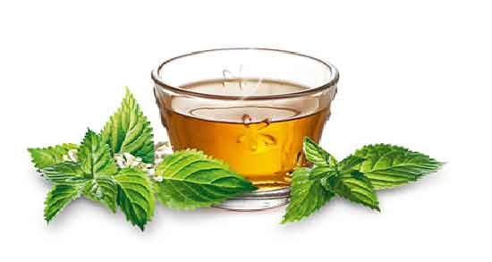 زمان مصرف دمنوش گزنه ؛ بهترین زمان برای مصرف دمنوش گزنه