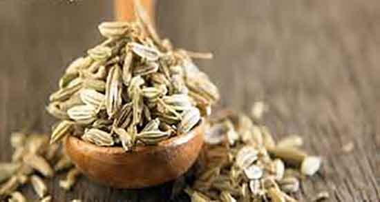 زنیان برای نارسایی کلیه ؛ ایا زنیان برای درمان نارسایی کلیه مفیده