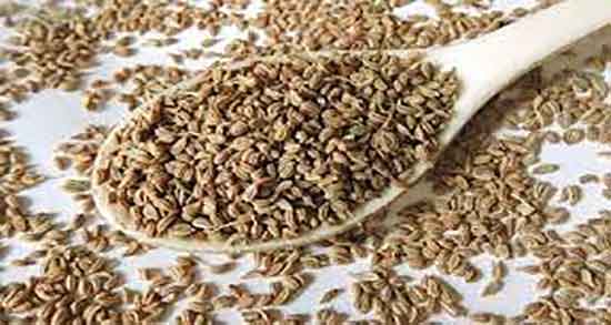 زنیان برای چی خوبه ؛ فواید مصرف زنیان برای رفع مشکلات معده