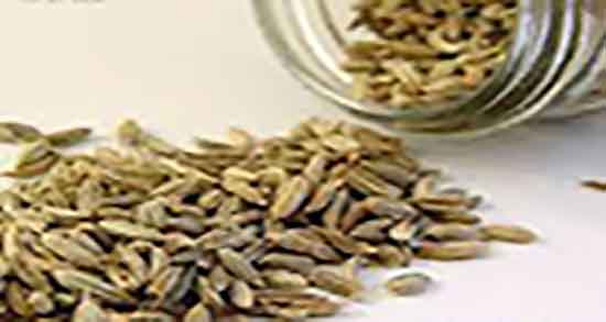 زنیان برای کبد چرب ؛ خاصیت مصرف عرق زنیان برای درمان چربی کبد