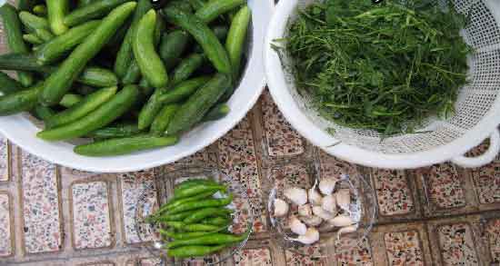 سبزی خیارشور چیست ؛ از چه نوع سبزی در تهیه خیارشور استفاده می شود