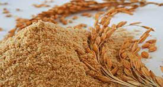 سبوس گندم برای دام ؛ سبوس گندم برای دام از کجا بخریم بهتر است
