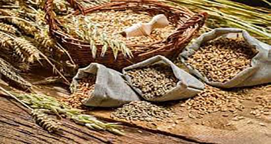 سبوس گندم دکتر خیراندیش ؛ خواص سبوس گندم از دکتر خیر اندیش