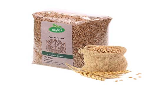 سبوس گندم و برنج ؛ مقایسه سبوس گندم و سبوس برنج در چیست