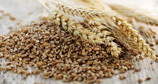 سبوس گندم و جو ؛ خواص سبوس برنج و گندم و جو برای دستگاه گوارش