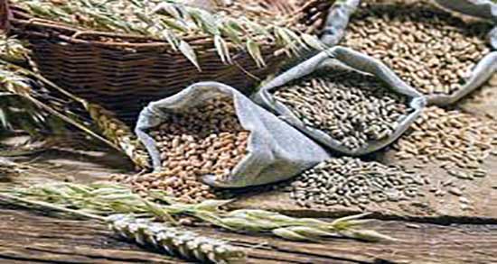 سبوس گندم و ماست ؛ ترکیب سبوس گندم و ماست برای دیابت