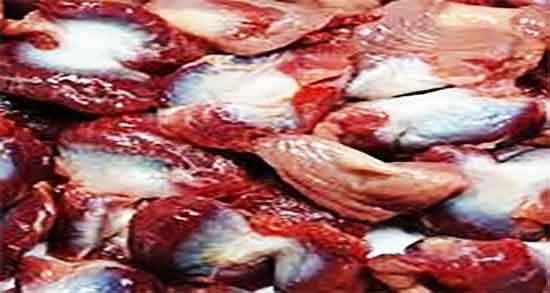 سنگدان مرغ و نقرس ؛ مضرات مصرف سنگدان مرغ برای نقرس