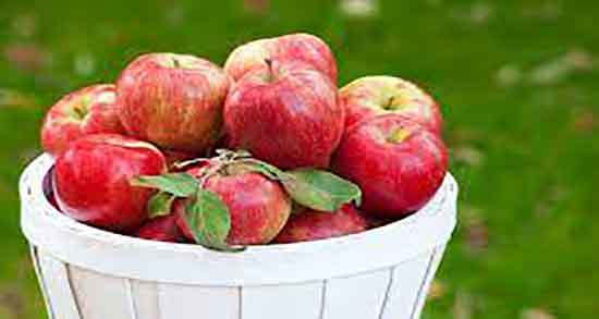 سیب برای قلب ؛ خاصیت مصرف سیب برای بهبود بیماریهای قلبی