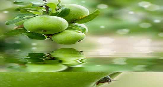 سیب ترش برای سرماخوردگی ؛ خاصیت مصرف سیب ترش برای گلو درد