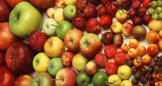 سیب درختی و دیابت ؛ ایا سیب درختی برای کنترل قند خون مفید است