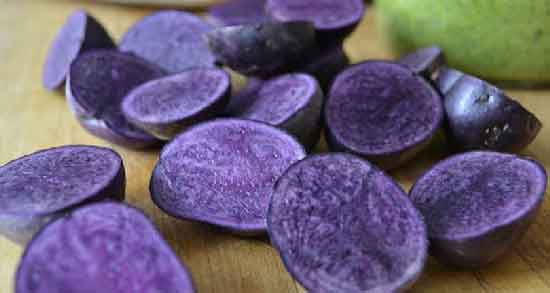 سیب زمینی بنفش در چالدران و کاشت فراوان سیب زمینی بنفش در شهر چالدران سیب زمینی بنفش در چالدران ؛ کاشت فراوان سیب زمینی بنفش در شهر چالدران