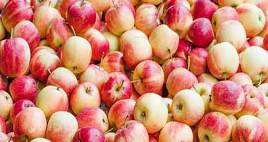 سیب گلاب برای زیبایی جنین ؛ خاصیت مصرف سیب گلاب برای جنین