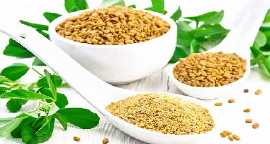 شنبلیله برای ریزش مو و روش استفاده از شنبلیله برای جلوگیری از ریزش مو شنبلیله برای ریزش مو ؛ روش استفاده از شنبلیله برای جلوگیری از ریزش مو