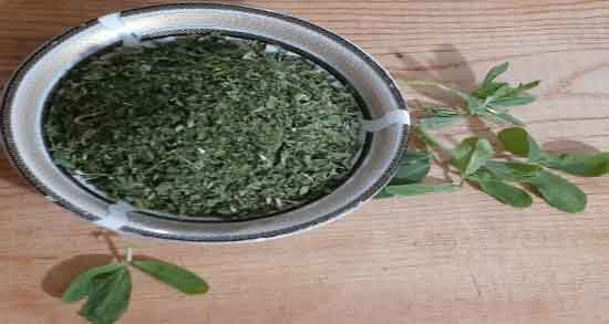 شنبلیله برای پرپشتی مو ؛ شنبلیله به عنوان دارویی طبیعی برای تقویت مو